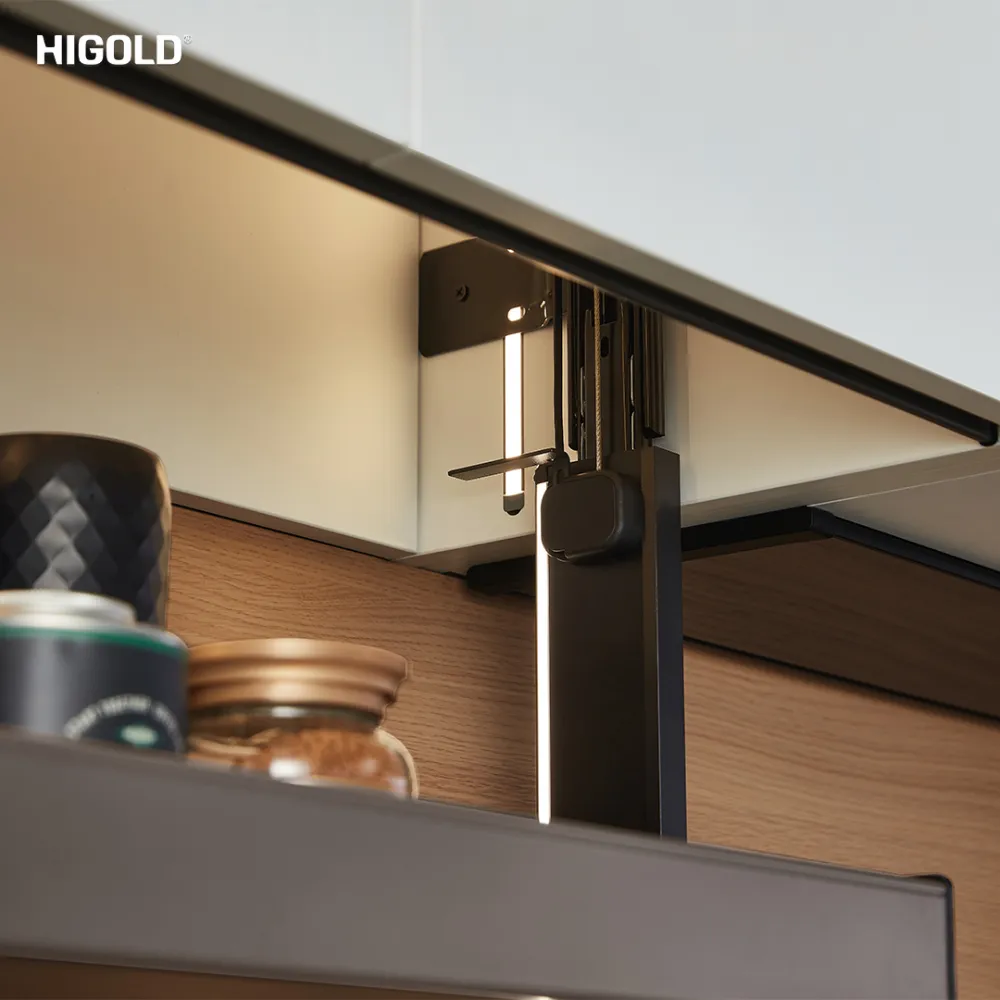 Giá gia vị nâng hạ điện Higold Star Move 2.0 - ảnh 3