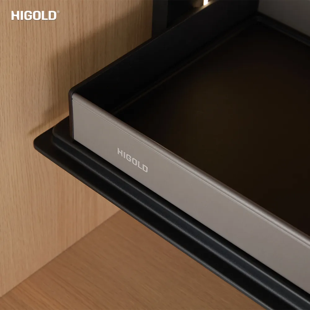 Giá gia vị nâng hạ điện Higold Star Move 2.0 - ảnh 2