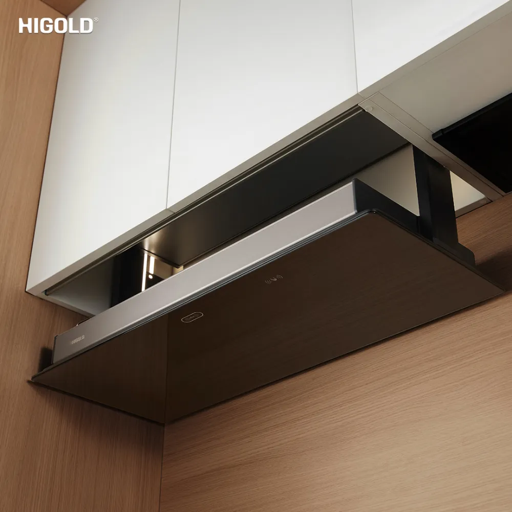 Giá gia vị nâng hạ điện Higold Star Move 2.0 - ảnh 7