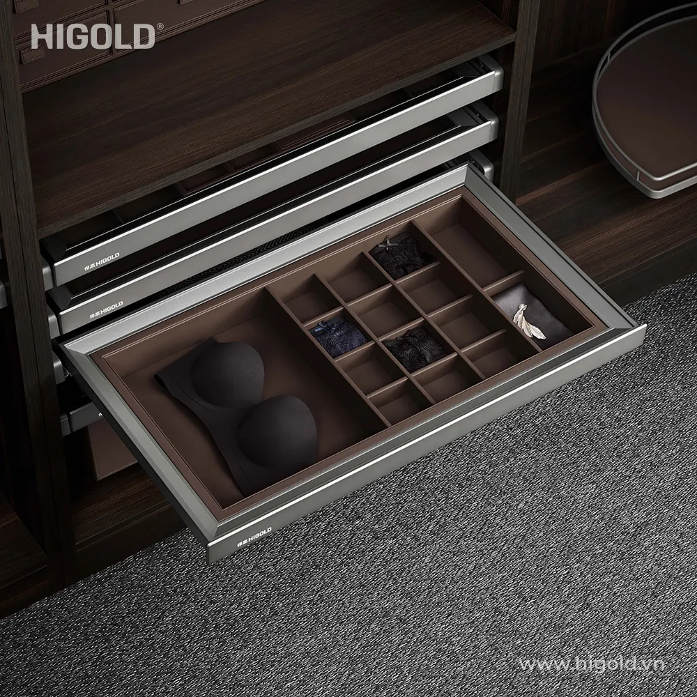 Ngăn kéo đựng đồ nội y Higold - ảnh 2