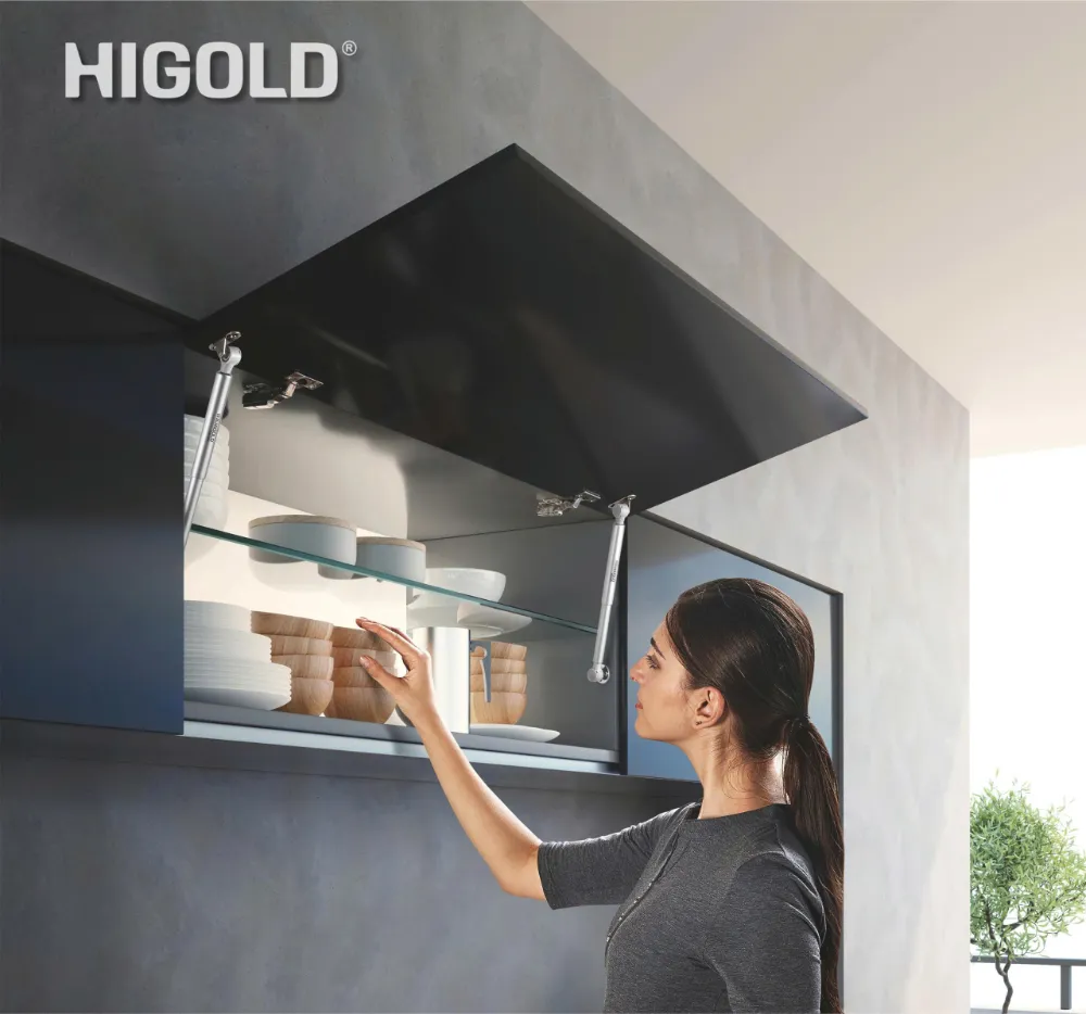 Piston hơi giảm chấn Higold Series G chính hãng